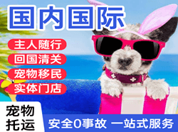 宜宾五粮液机场邮寄国际宠物托运 【国